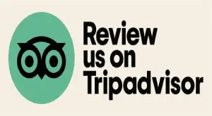 Testimonial review us on tripadvisor